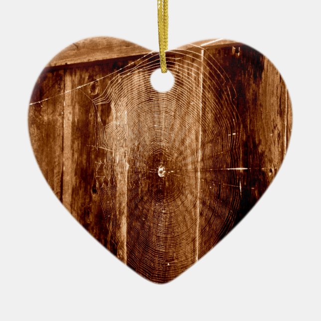 Adorno De Cerámica Web de araña en la cerca (Frente)