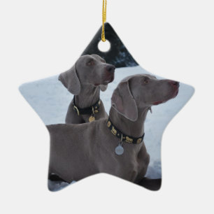 Adorno De Cerámica Weimeraner en la nieve