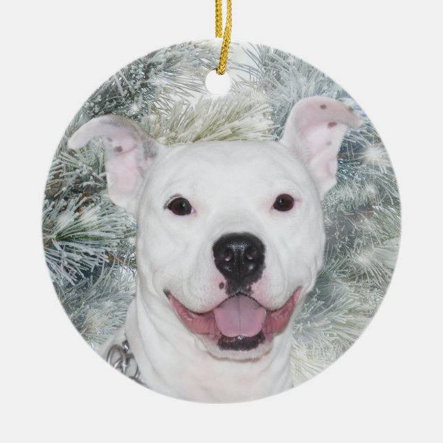 Adorno De Cerámica White Christmas Pitbull (Frente)