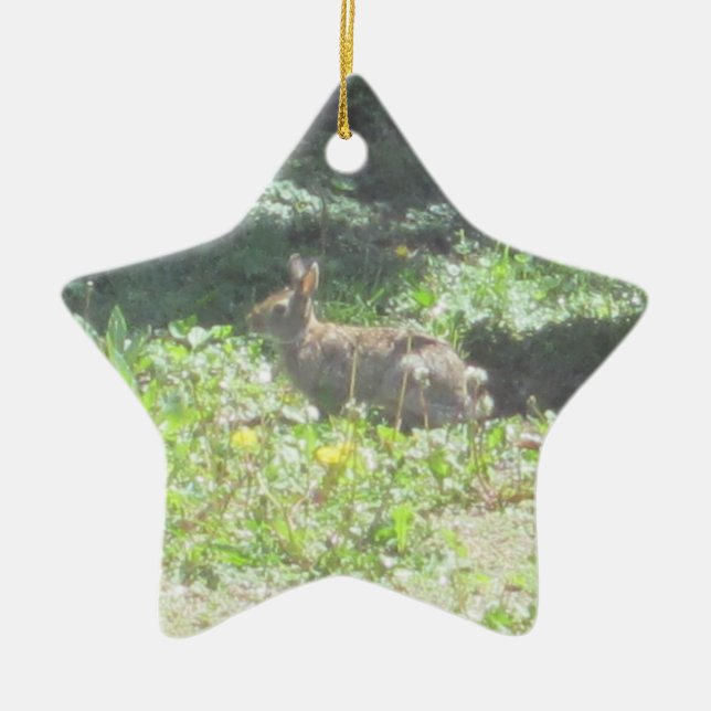 Adorno De Cerámica Wild Bunny Ornament (Frente)