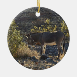 Adorno De Cerámica Wild Burro cerca de Oatman, Arizona