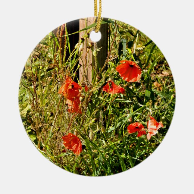 ADORNO DE CERÁMICA WILD FLOWERS (Frente)