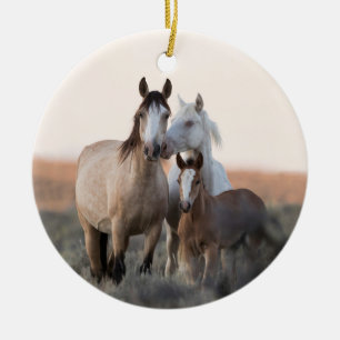 Adorno De Cerámica Wild Hoofbeats Wild Horse Family