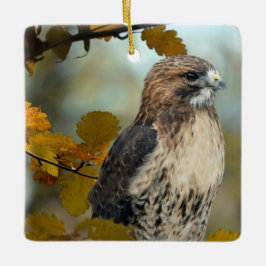 Adorno De Cerámica Wildlife Red Tail Hawk Autumn Photo