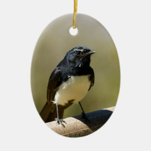 Adorno De Cerámica Willie Wagtail