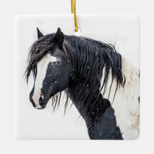 Adorno De Cerámica "Winter King" Washakie Ornament (Anverso)