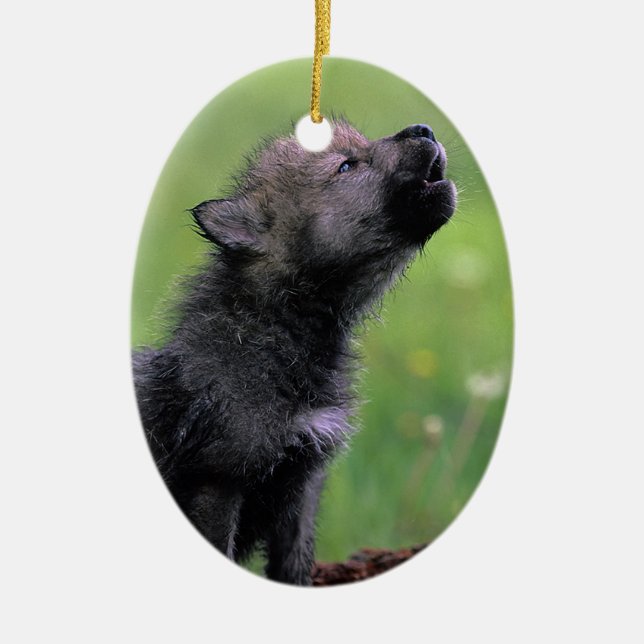 Adorno De Cerámica Wolf Cub Howling (Frente)