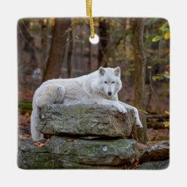 Adorno De Cerámica Wolf en otoño