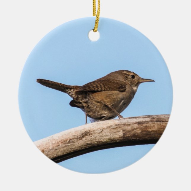 Adorno De Cerámica Wren de casa (Frente)
