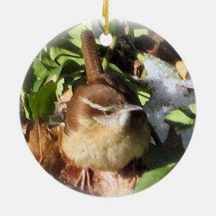 Adorno De Cerámica Wren de invierno