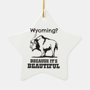 Adorno De Cerámica ¿Wyoming? Porque es hermoso