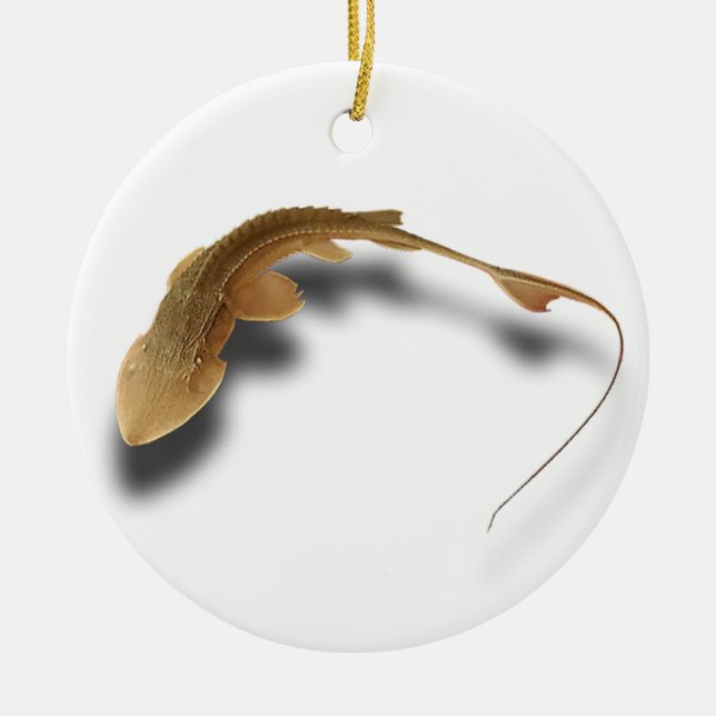 ADORNO DE CERÁMICA >XMAS ORNAMENT -STURGEON FISH -SHOVELNOSE REAL (Frente)