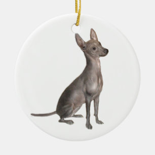Adorno De Cerámica Xoloitcuintle (Xolo) (B)