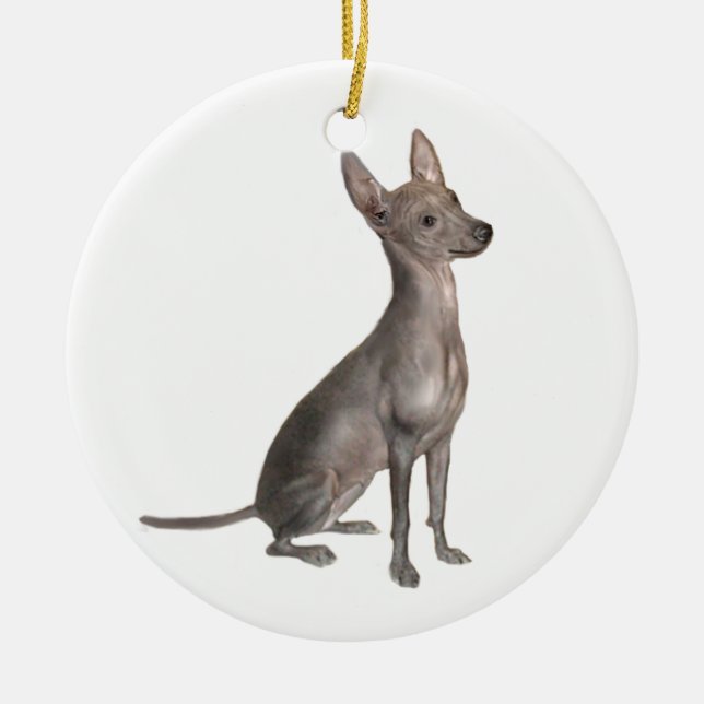 Adorno De Cerámica Xoloitcuintle (Xolo) (B) (Frente)