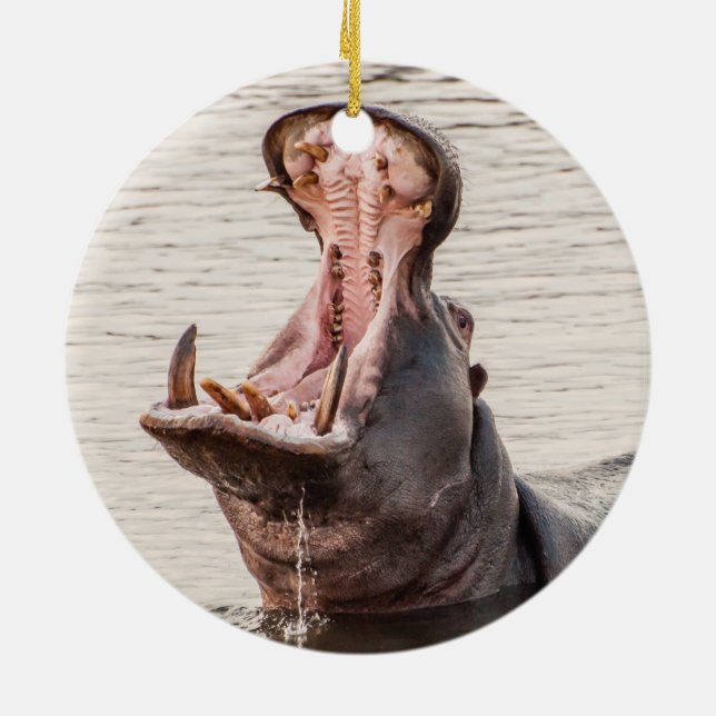 Adorno De Cerámica Yawning Hippo (Atrás)