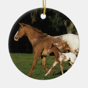 Adorno De Cerámica Yegua y potro del Appaloosa