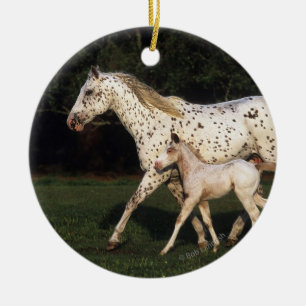 Adorno De Cerámica Yegua y potro del Appaloosa en campo