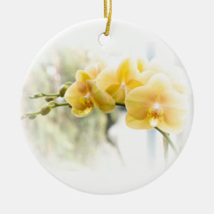 Adorno De Cerámica Yellow Moth Orchid in Sunshine