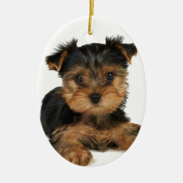 Adorno De Cerámica Yorkie agradable (Frente)
