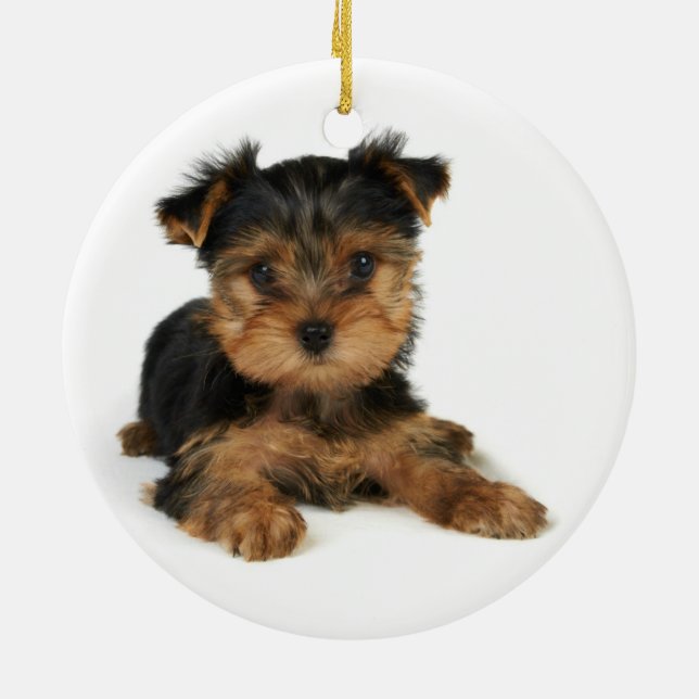 Adorno De Cerámica Yorkie agradable (Atrás)