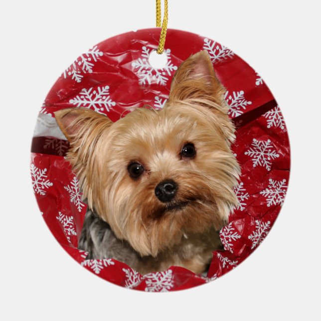 Adorno De Cerámica Yorkie Christmas (Frente)