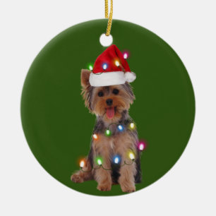 Adorno De Cerámica Yorkie con Navidades Scafts Santa Hat Gift