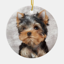 Adorno De Cerámica Yorkie maravilloso