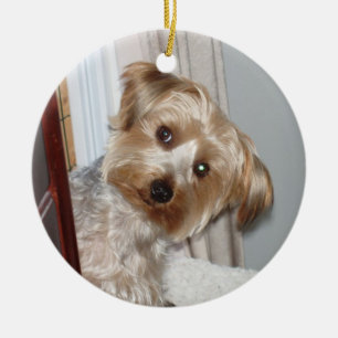 Adorno De Cerámica Yorkie mirando por la esquina
