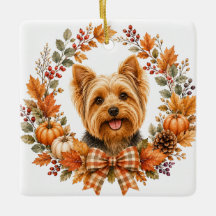 Yorkshire Terrier Otoño