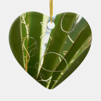 Adorno De Cerámica Yucca deja fotografía verde de la naturaleza