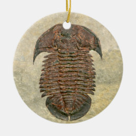 Adorno De Cerámica Yuepingia Fossil Trilobita