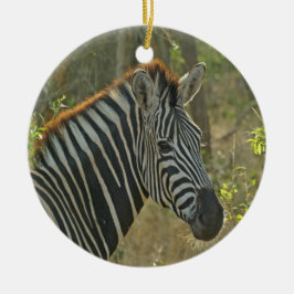 Adorno De Cerámica Zebra