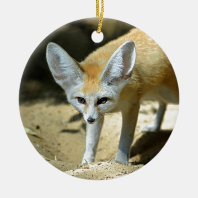 Adorno De Cerámica Zorro de Fennec (Frente)