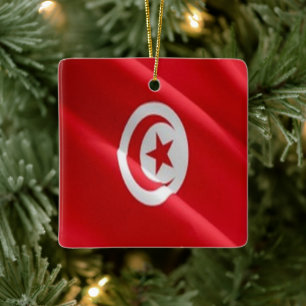 Adorno De Cerámica zTN002 TUNISIA, Bandera ondulante, África,