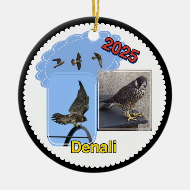 Adorno de círculo de cerámica 2025 Denali (Frente)