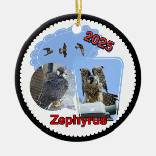 Adorno de círculo de cerámica 2025 Zephyrus