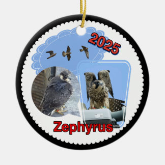 Adorno de círculo de cerámica 2025 Zephyrus