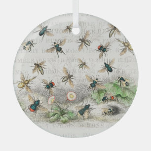 Adorno De Cristal Abeja Reina Entomología Botánica Vintage