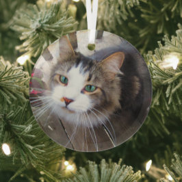 Adorno De Cristal Amorosos Gatos Mascotas Amantes Crea Tu Propio Per