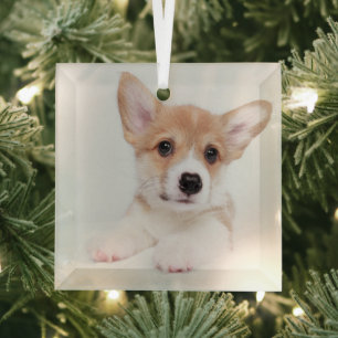 Adorno De Cristal Animales de bebé más afectados Bebé dulce Corgi