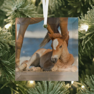 Adorno De Cristal Animales de bebé más afectados   Caballo salvaje C