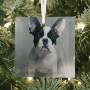 Adorno De Cristal Animales de bebé más afectados   Cachorro de Bulld