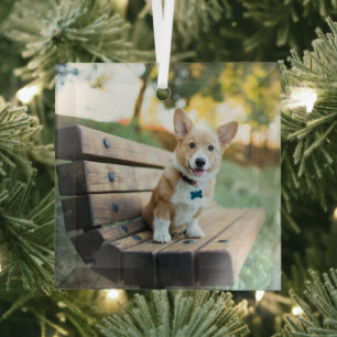 Adorno De Cristal Animales de bebé más afectados   Cachorro de Corgi