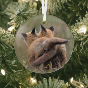 Adorno De Cristal Animales de bebé más afectados   Colas de bloqueo 