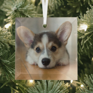 Adorno De Cristal Animales de bebé más afectados   Corgi Puppy