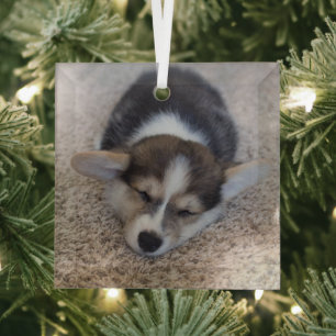 Adorno De Cristal Animales de bebé más afectados   Corgi Puppy en Sh
