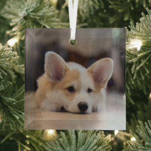 Adorno De Cristal Animales de bebé más afectados   Corgi Puppy solit
