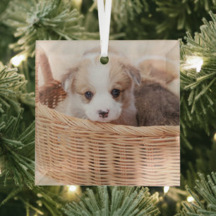 Adorno De Cristal Animales de bebé más afectados   Corgi Tiny Puppy