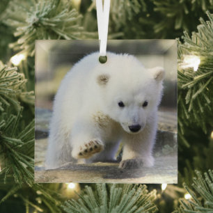 Adorno De Cristal Animales de bebé más afectados Cubo de oso polar
