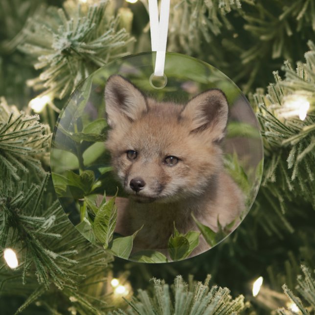 Adorno De Cristal Animales de bebé más afectados | Fox Kit (in situ)